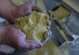 Farine de soja de qualité supérieure alimentation pour animaux disponible pour l'exportation - Product Image 4