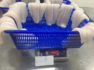 Filete de Pangasius Hypophthalmus Congelado de Alta Calidad, IQF, Sin Piel y Sin Espinas - Product Image 1