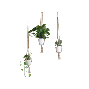 Porte-plante en macramé avec logo personnalisé, panier suspendu pour plantes d'intérieur et d'extérieur, corde en coton, porte-plante en macramé pour décoration murale - Product Image 2