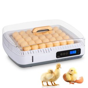 US 35 Automatic Egg Incubator with Turnover Temperature & Humidity Control Water Alarm-Model 73539812 - Product Image 1