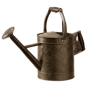 Regadera de Lujo de Diseño Antiguo y Alta Calidad para Jardinería y Plantas - Product Image 1