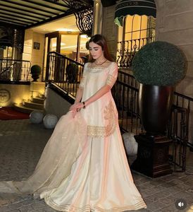 ชุดชาราร่าผ้าไหมชิโนนสวยงามสไตล์อินเดีย-ปากีสถาน ชุดชาราร่าแบบหนักสไตล์ชาติพันธุ์ ชุดสำหรับงานปาร์ตี้ งานแต่งงาน ชุดชาติพันธุ์สำหรับผู้หญิงและเด็กผู้หญิง - Product Image 2