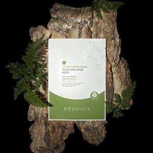 Masque hydratant, nourrissant, éclaircissant et blanchissant BUDDATE à l'extrait de champignon Inonotus Obliquus (Chaga) - Contre les points noirs - Product Image 3