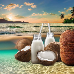 Coco Nut Milk - Product Image 5