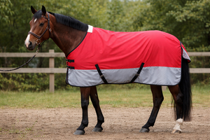 Couverture de protection imperméable rouge 600D pour chevaux, avec rembourrage 220 GSM, fermeture à boucle, lavable en machine, en tissu Ripstop et cuir. - Product Image 3
