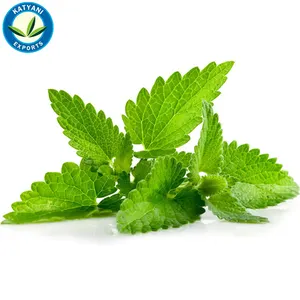 Highest Selling Superb Quality Pure And Natural Peppermint Essential Oil With For Whole Sale Supplier