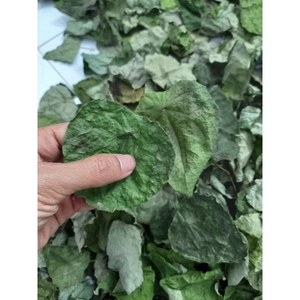Feuilles de Bai Ya Nang séchées du Vietnam de qualité supérieure, 100g, 200g, 500g, emballées sous vide, pour la gelée de herbe verte et les boissons - Product Image 1