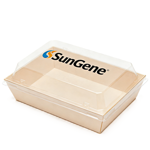 Barquette alimentaire jetable biodégradable, écologique, en PET et bois, pour gâteaux et sushis - Product Image 3