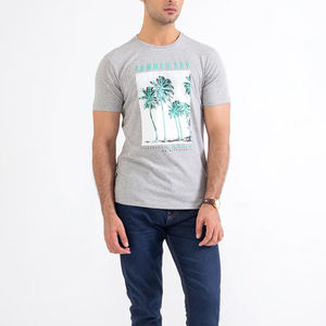 Camiseta de Lona Oversize para Hombre con Estampado de Pantalla, Logotipo Personalizado Premium, Casual, Antiarrugas, 100% Algodón Transpirable, Venta al por Mayor para Verano - Product Image 3