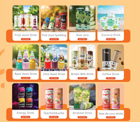 Sap Aloë Vera Drink 12X500Ml Fruitsmaak Aloë Jugo Perzik Met Echte Pulp Interverse Frisdrank Vruchtensap