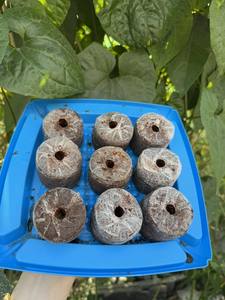 Approvisionnement direct usine : Poudre de tourbe de coco compressée sur mesure, écologique pour la culture - Mme Tarina - Product Image 5