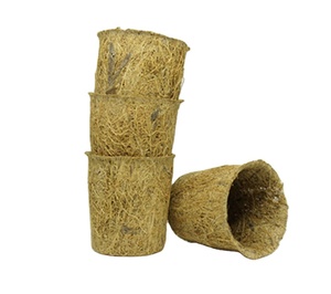 Eco-Friendly Coir <strong>Pots</strong> - <strong>Biodegradable</strong> &amp; Perfect for Seedlings, Flowers &amp; Sustainable Gardening
