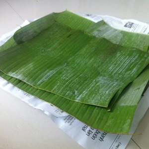 Feuilles de bananier premium du Vietnam pour l'emballage de tamales gastronomiques et l'utilisation nutritive à la vapeur par 99 Gold Data Company - Product Image 1