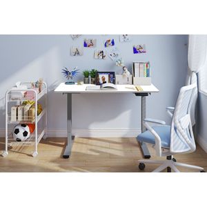 Scrivania Elettrica Regolabile in Altezza per Ufficio e Casa, 48 X 24 Pollici, con Doppio Motore, Scrivania Sit-Stand di Colore Verde - Product Image 1