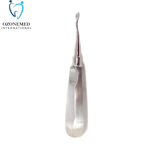 Elevador Dental Profesional de Grado Clínico con Mango Cómodo para Trabajo en Clínica - Product Image 5
