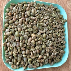 Exportation d'usine de grains de café Robusta Taille 16 AA+ Saveur riche et corsée Grains de café Miel S16, S18 Fourniture directe usine - Product Image 6