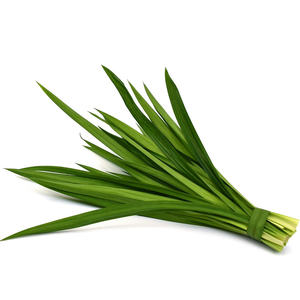 ใบเตยแช่แข็งแบบพรีเมี่ยมที่มาจากเวียดนามกลิ่นหอมที่เข้มข้นสีเขียวสด100% ใบเตยทั้งใบ - Product Image 1