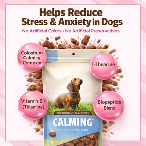 Friandises calmantes pour vétérinaires : Bouchées molles à l'huile de chanvre pour l'anxiété avec L-Glutamine, L-Tryptophane, Vitamine B1 – Complément alimentaire pour la santé des chiens - Product Image 4