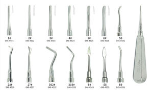 Precio Económico: 10 Elevadores Dentales Manuales de Acero Inoxidable Curvos para Extracción de Raíces, Fórceps para Extracción Dental, Instrumentos CE - Product Image 2