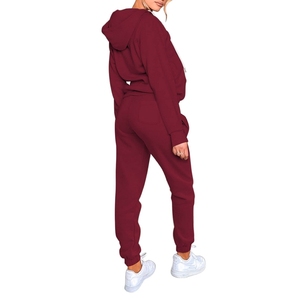 Conjunto Deportivo de Invierno para Mujer, con Capucha, Forro Polar, Antiolor, Cintura Elástica, Corte Holgado, Cómodo, Negro, Informal, para Fitness - Product Image 2