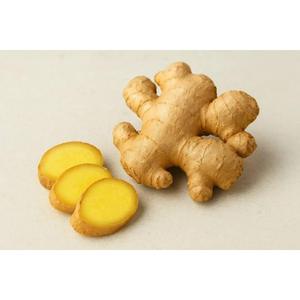 แชมพูขิง เวียดนาม |   การดูแลเส้นผมและหนังศีรษะสำหรับผมมัน - Product Image 3