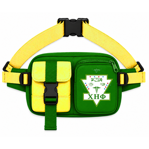 Custom Chi Eta Phi Sorority Fanny <b>bag</b> green and <b>yellow</b> Casual Style embroidered logo and Zipper Pocket female Greek Apparel - Product Image 1
