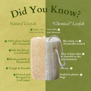 Éponge de luffa en microfibre naturelle vietnamienne éponge de bain douce écologique épurateur de vaisselle Durable compostable cuisine maison - Product Image 5