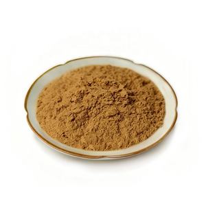 Carefully Processed Lion's Mane Extract 50% Food Grade Fine <b>Mesh</b> Premium Quality Mushroom Extract Bulk Supply from India - Product Image 1