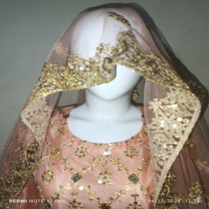 Heavy Design <b>Net</b> <b>Fabric</b> Party Wear Heavy Embroidery Work with Fancy Embroidery Work Dupatta for Wedding Punjabi Dresses for Eid - Product Image 2