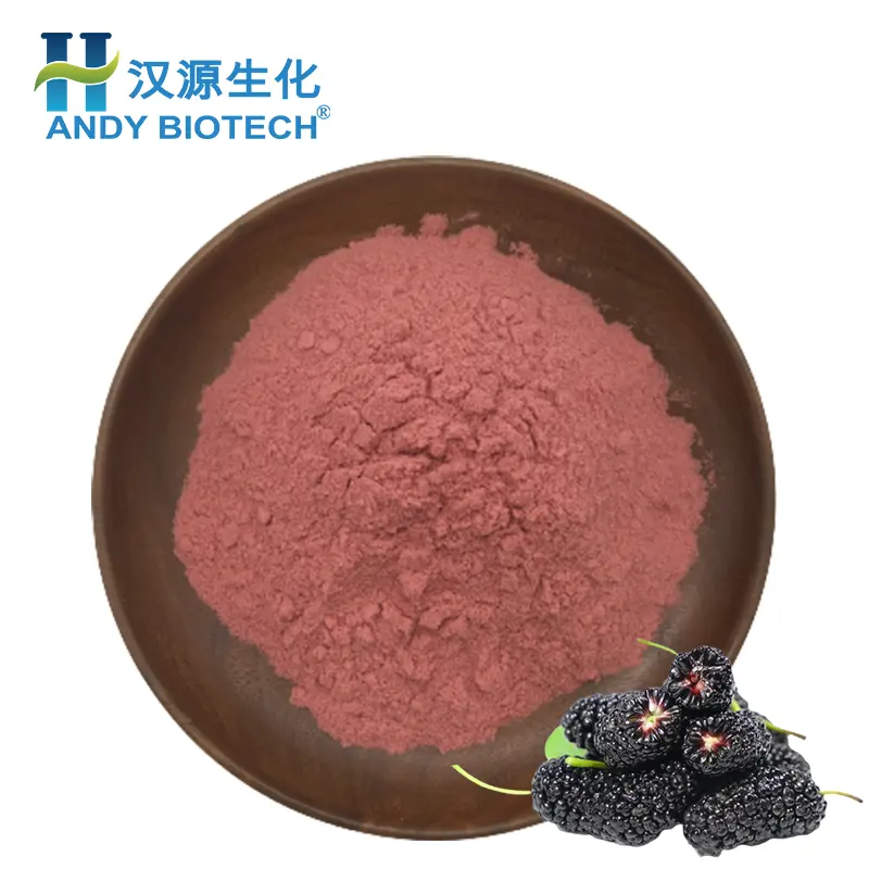 High quality Mulberry Concentrate Powder Spray Drying Mulberry Fruit Powder
