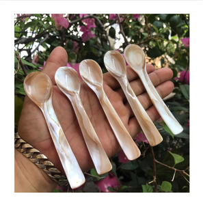 Cucharas de Concha Hechas a Mano con Mango Largo, Acabado Espejo, Ecológicas, Diseño Minimalista, Capacidad de 10 ml, Regalos - Product Image 1