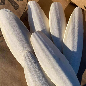 Meilleur prix pour les os de sepias séchés en vrac - OS DE SEPIAS SÉCHÉS pour jouet d'oiseau - POUDRE D'OS DE SEPIAS DU VIETNAM / Mme Thi - Product Image 1