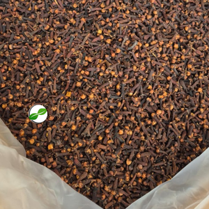 Clavos de Olor Secos de Sulawesi Tenggara, Indonesia, 2 Años de Vida Útil, Marca Global Agrokomoditi, Directo de Fábrica - Product Image 3