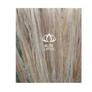 Fibre de banane bio de qualité supérieure, sûre et propre, 2026, matériau végétal pur, idéale pour la fabrication de papier et de cordes, vente directe usine - Product Image 1