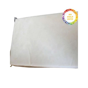 Leche de Coco Congelada a Granel de Calidad Premium 99 Gold Data - Requiere Almacenamiento a -18°C - Origen Vietnam para Postres y Cocina - Product Image 2