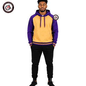 GEEK APPARELS Sweat à capuche raglan pour homme, violet et jaune, avec blocs de couleur, coupe droite, pour l'automne - Product Image 1
