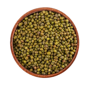 Semillas Frescas de Frijol Mung/Semillas para Germinar AA Calidad Premium Cultivo Sin GMO Origen EE. UU. - Product Image 4