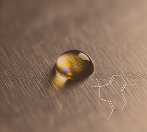 Alfa Humuleno (CL-460) Aroma a Vainilla - Product Image 1