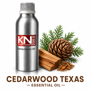 Aceite Esencial de Cedro de Texas de Primera Calidad, Juniperus Mexicana, 100% Puro, Grado Superior, Destilado al Vapor, Orgánico Certificado, a Granel - Product Image 1