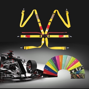เข็มขัดนิรภัยแบบยุโรป SPORT PLUS 3 ได้รับการรับรองมาตรฐาน FIA แบบ 6 จุด ขนาด 2 นิ้ว สำหรับขายส่งแบรนด์พรีเมียม - Product Image 1