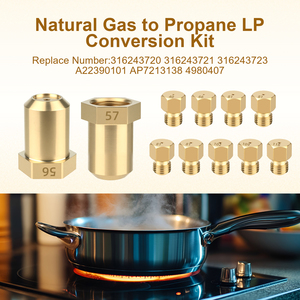 ก๊าซธรรมชาติเป็นชุดตัวแปลง LPG โพรเพนเหมาะสำหรับเตาเรือรบและเตาอิเล็กโทรลักซ์แทนที่4980407 AP7213138 A22390101 - Product Image 3