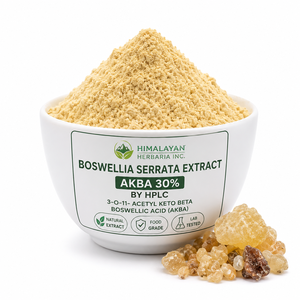 Extrait de Boswellia Serrata de qualité alimentaire avec 30% d'Akba par HPLC |   Encens de haute qualité, matière première botanique - Product Image 3