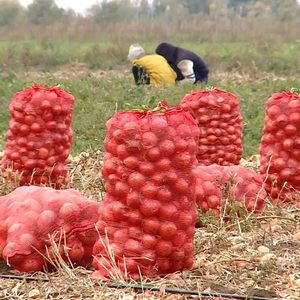 ถุงตาข่ายขนาดใหญ่แบบมีเชือกผูก ใช้ซ้ำได้ สำหรับเก็บผักผลไม้สด เช่น มันฝรั่ง ส้ม ปลาตัวเล็ก ข้าวโพด - Product Image 5