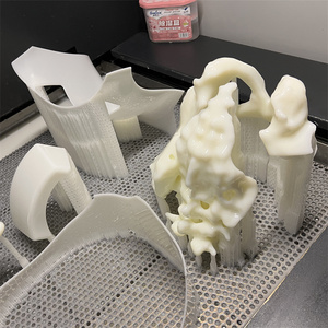 <span class=keywords><strong>Service</strong></span> d'impression 3D de modèles médicaux à haute résolution, stables et dédiés à l'éducation médicale - Product Image 2