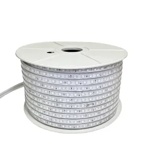 IP65 waterproof flexible led light strip PVC cover SMD 5050 220V rgb led strip light 60 Leds strip light