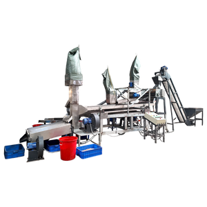 Ligne de décorticage automatique de noix de cajou, machine de traitement de noix de cajou haute capacité, fabriquée au Vietnam - Product Image 1