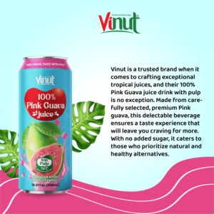 Tropical Pink Guava Juice Drink 500ml PET Bottle NFC No Sugar Added VINUT OEM ODM Private Label Wholesale Supplier - Product Image 4