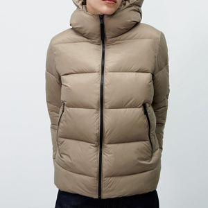 Chaqueta Acolchada con Capucha para Hombre, Color Azul Marino, Cierre Frontal con Cremallera, Estilo Casual, Corte Regular, Cuello Alto, Material de Poliéster Ecológico con Lana - Product Image 1