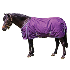 Wholesale Equestrian Equine Equipment NP Fitting Horse Fleece Rug Horses Blanket <b>Set</b> Hors Riding Products - Product Image 1