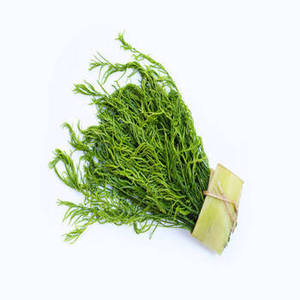 Poudre de spiruline indienne pour les acheteurs en gros recherchant des ingrédients polyvalents d'algues vertes pour la formulation de produits commerciaux - Product Image 2